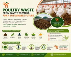 How Much Does a Poultry Farm Biogas Plant Cost in India? (2026 Guide)