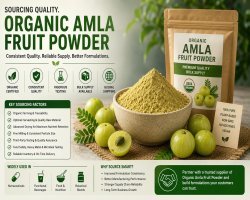 Why Organic Amla Fruit Powder Sourcing Demands More Than a Specification Sheet