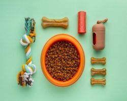 Why Swiss Pet Care Is Moving Toward Conscious Consumption