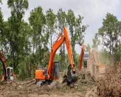 Land Clearing and Deck Builder Services: Preparing Your Property for a Better Outdoor Space