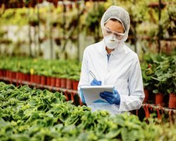 FSSC 22000 Lead Auditor Training: Your Complete Guide to a Career in Food Safety Auditing
