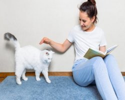 Cat Sitting Tips: How to Prepare Your Cat and Home for a Sitter