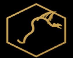 Dragon Pharma: Understanding the Brand and Online Buying Experience