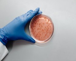 Germany Bio Ketones Market Innovation at the Intersection of Chemistry and Biotechnology