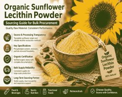 Sourcing Organic Sunflower Lecithin Powder: A Practical View for Procurement and R&D Teams