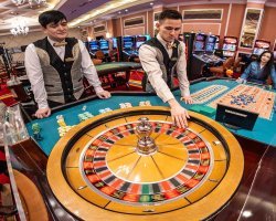 Casino Non AAMS: Come Confrontare Le Migliori Opzioni