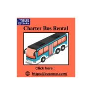 Busxoxo Service