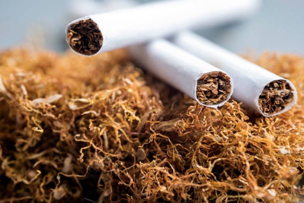 Tobacco Stock